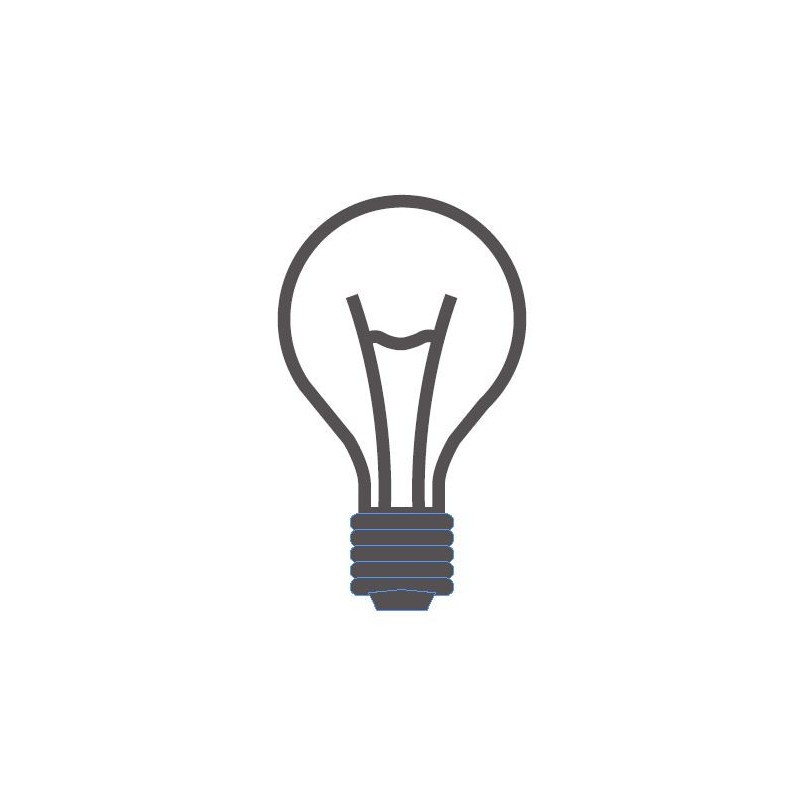 COMBISTEEL - Ampoule pour lampe chauffante
