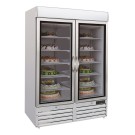 COMBISTEEL - Congélateur 2 portes en verre