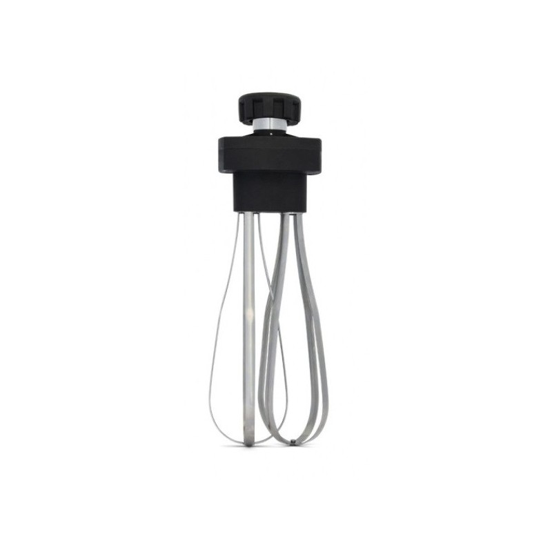 COMBISTEEL - Fouet 250mm pour mixer-plongeur hm-35
