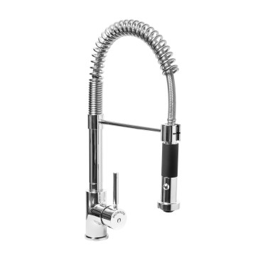 ShopDesChefs - Douche à trou unique  avec robinet à double jet modèle PAULA