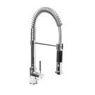 ShopDesChefs - Douche à trou unique  avec robinet à double jet modèle PAULA