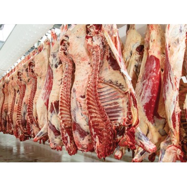COOL HEAD -Cave de maturation à viande - 460 litres