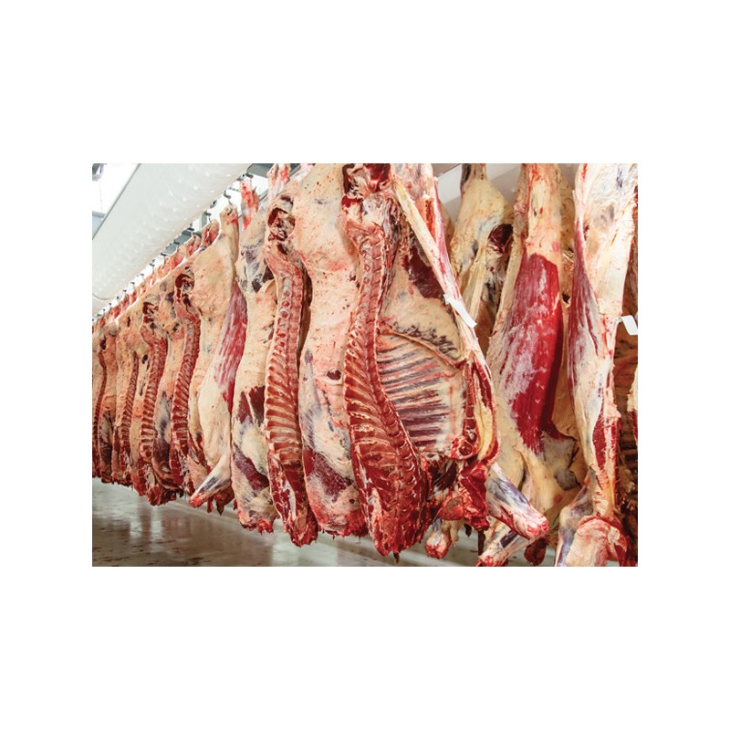 COOL HEAD -Cave de maturation à viande - 460 litres