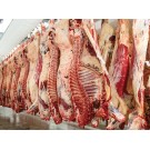COOL HEAD -Cave de maturation à viande - 460 litres