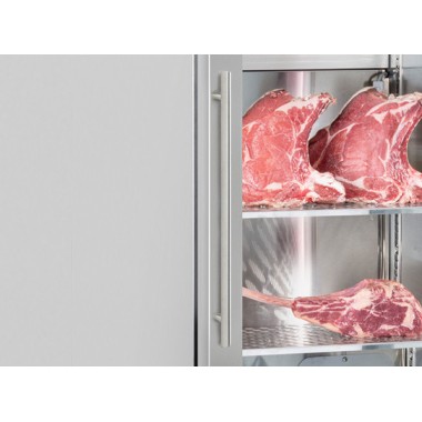COOL HEAD -Cave de maturation à viande - 460 litres