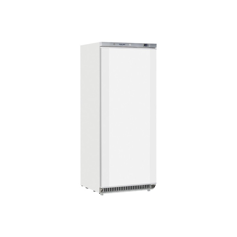 COOL HEAD - Armoire réfrigérée négative 600 litres CN 6