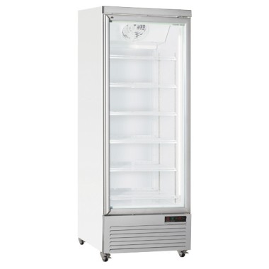 COOL HEAD - Refroidisseur de boissons vertical 600 litres RCG 750