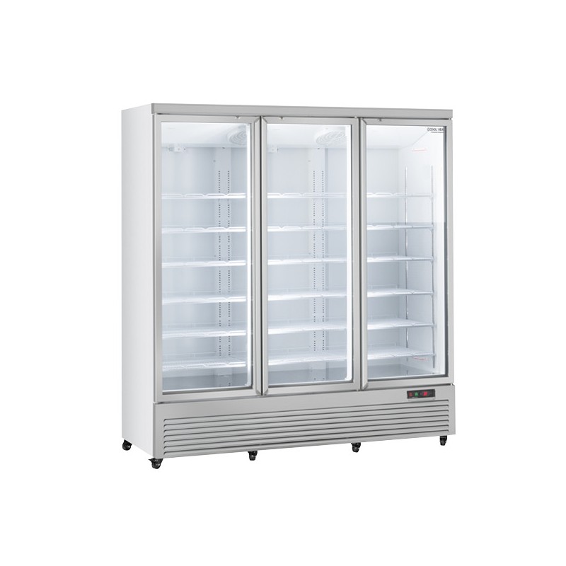 COOL HEAD - Refroidisseur de boissons vertical 1600 litres RCG 1900