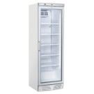 COOL HEAD - Réfrigérateur à boissons vertical 350 litres TKG 390
