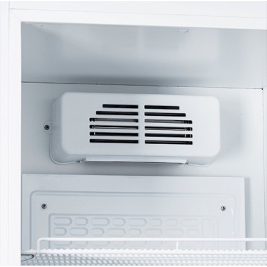 COOL HEAD - Refroidisseur de boissons vertical de 250 litres TKG 420