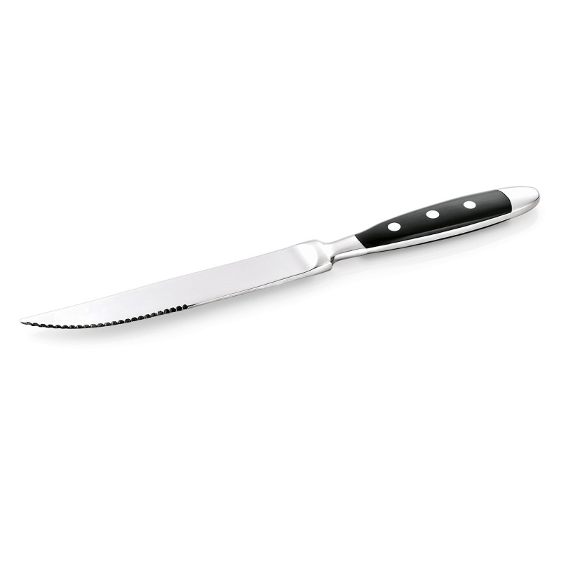 WAS - Couteau à steak bi matière 215mm - Lot 12