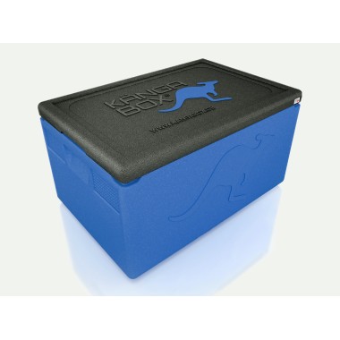 WAS - GN Thermobox Professional - 60 x 40 x 33 cm - 54 x 34 x 26,7 cm