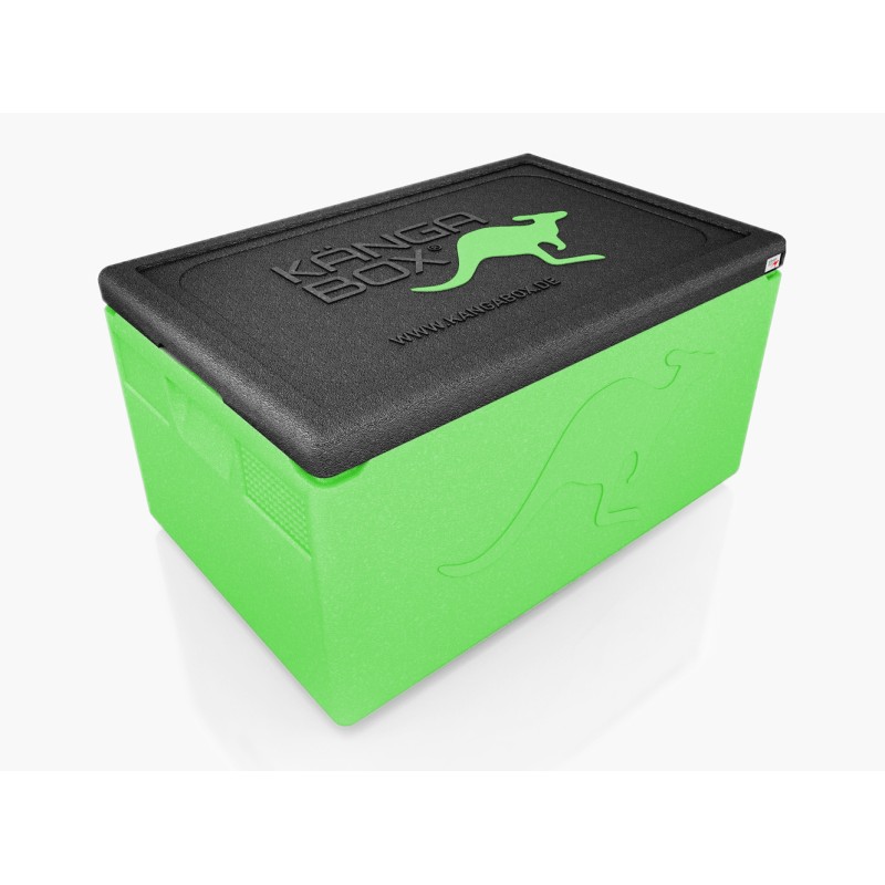WAS - GN Thermobox Professional - 60 x 40 x 33 cm - 54 x 34 x 26,7 cm
