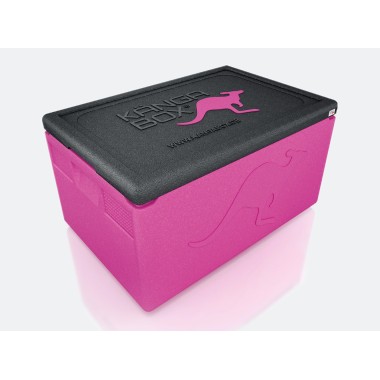 WAS - GN Thermobox Professional - 60 x 40 x 33 cm - 54 x 34 x 26,7 cm