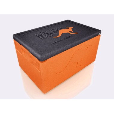WAS - GN Thermobox Professional - 60 x 40 x 33 cm - 54 x 34 x 26,7 cm
