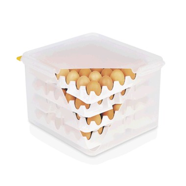 WAS - Boîte à œufs HACCP - 354 x 325 x 200 mm
