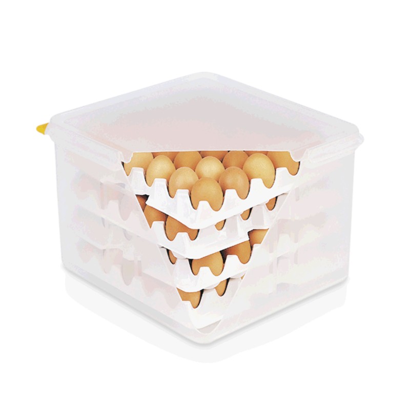 WAS - Boîte à œufs HACCP - 354 x 325 x 200 mm
