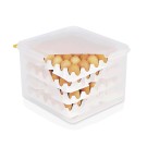 WAS - Boîte à œufs HACCP - 354 x 325 x 200 mm