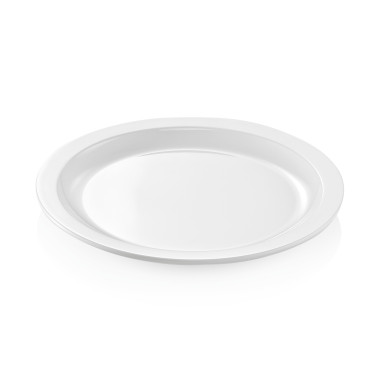 WAS - Assiette Ø270mm - Lot 12