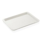 WAS - Plateau GN - blanc laiteux