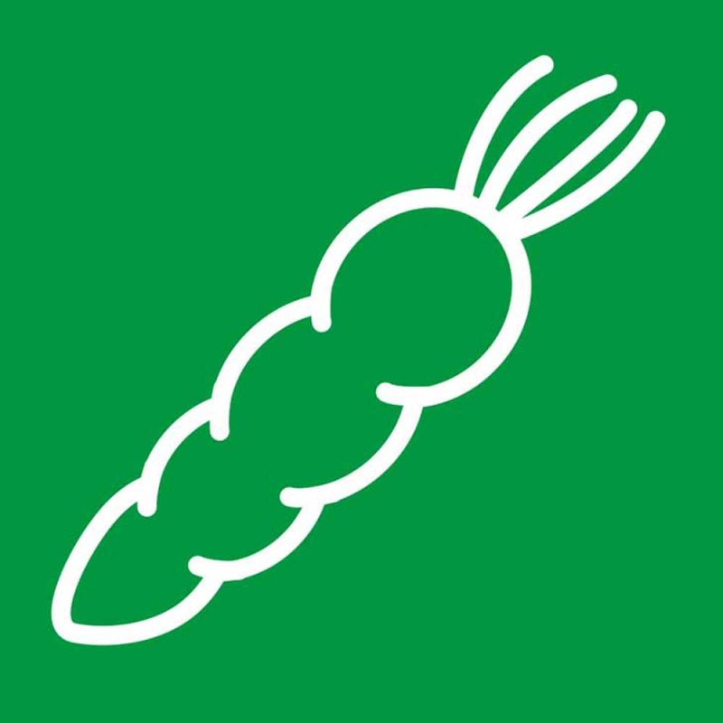 STALGAST - Couteau de cuisine HACCP vert 250 mm
