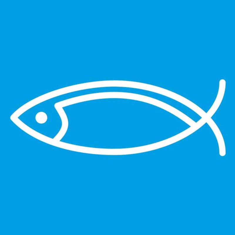 STALGAST - Couteau de cuisine, HACCP, bleu, L 250 mm