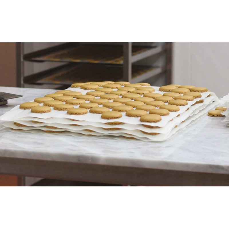 STALGAST - Papier de cuisson en silicone, GN 1/1