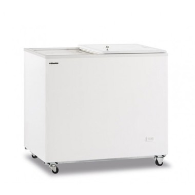 Shopdeschefs - Congélateur statique à coffre avec porte coulissante pleine Modèle FR300PSSL