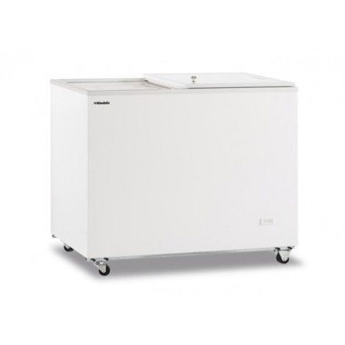 Shopdeschefs - Congélateur statique à coffre avec porte aveugle coulissante Modèle FR500PSSL