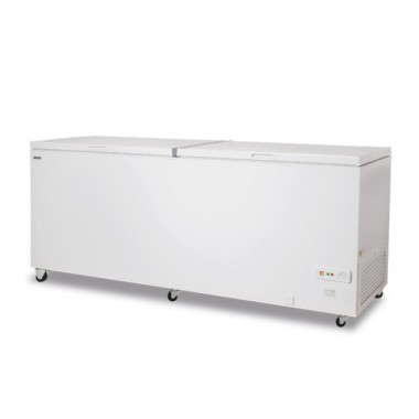 Shopdeschefs - Congélateur statique à coffre avec porte pleine battante Modèle FR600PSK