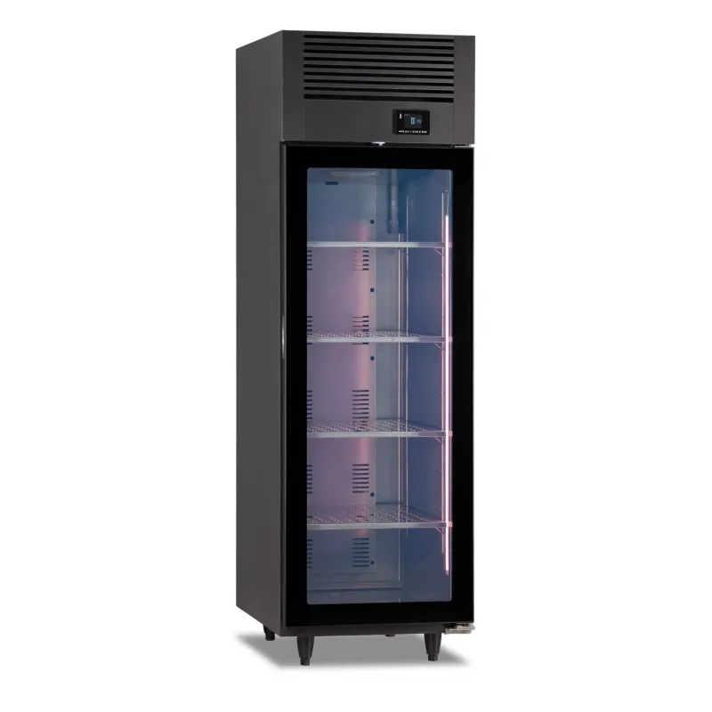 Shopdeschefs - Vitrine de maturation  Modèle KLIMEAT600BLK