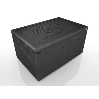 WAS - GN Thermobox Professionnel - 60 x 40 x 33 cm - 54 x 34 x 26,7 cm