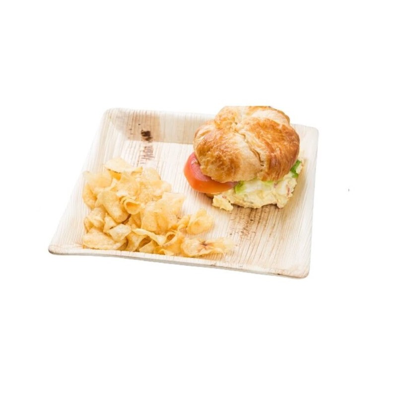 Ecobioshopping - Assiette plate 18x18 cm en feuille de palmier - 25 pièces - 3392