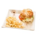 Ecobioshopping - Assiette plate 18x18 cm en feuille de palmier - 25 pièces - 3392
