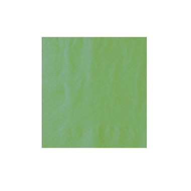 Ecobioshopping - Serviette verte kiwi 2 plis 40x40 cm - 100 pièces - 32267