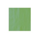 Ecobioshopping - Serviette verte kiwi 2 plis 40x40 cm - 100 pièces - 32267