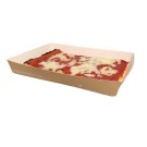 Ecobioshopping - Plateau à pizza 21x15x3 cm - 50 pièces - 630-65
