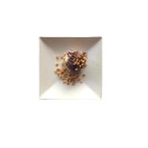 Ecobioshopping - Assiette Komodo 9x9 cm en cellulose - 50 pièces - N465