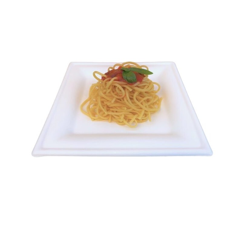 Ecobioshopping - Assiette Élégance 26x26 cm en cellulose - 50 pièces - 20841