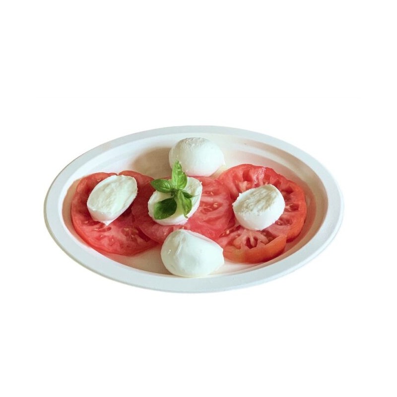 Ecobioshopping - Assiette ovale standard 26x19 cm en cellulose - 50 pièces - 11184