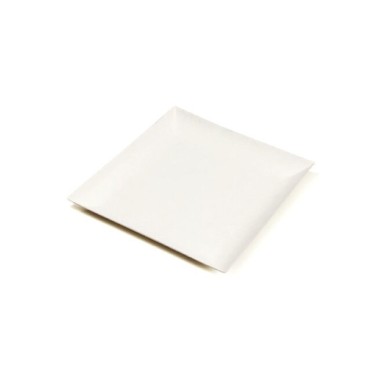 Ecobioshopping - Assiette Komodo 18x18 cm en cellulose - 50 pièces - N468