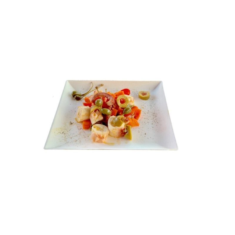 Ecobioshopping - Assiette Komodo 18x18 cm en cellulose - 50 pièces - N468