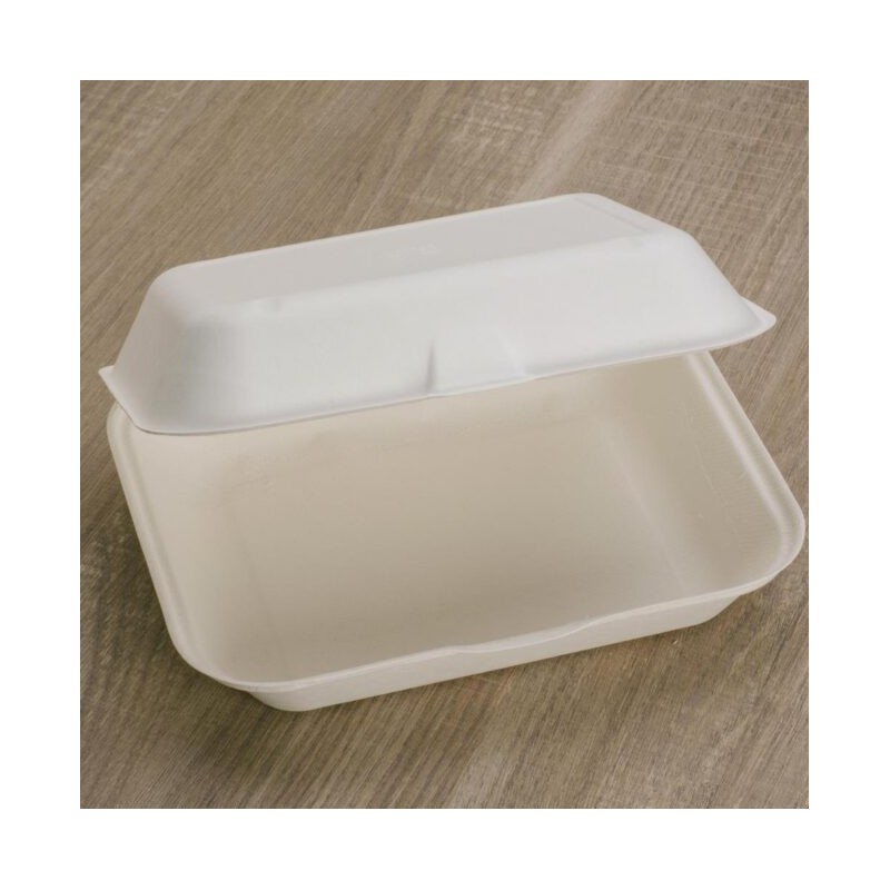 Ecobioshopping - Boîte alimentaire 23x19x8 cm - 125 pièces - 3463