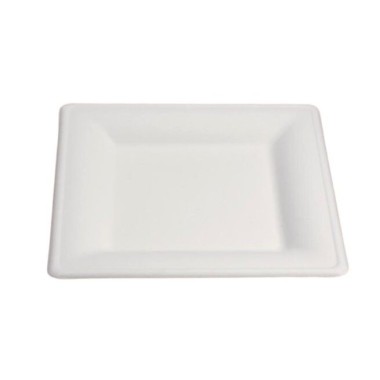 Ecobioshopping - Assiette Élégance 20x20 cm en cellulose - 50 pièces - 20840
