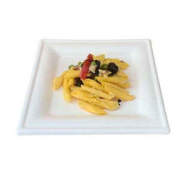 Ecobioshopping - Assiette Élégance 20x20 cm en cellulose - 50 pièces - 20840