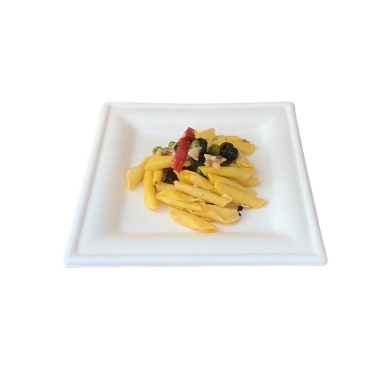 Ecobioshopping - Assiette Élégance 20x20 cm en cellulose - 50 pièces - 20840