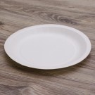 Ecobioshopping - Assiette plate en carton 23 cm - 500 pièces - 211-BIO-00