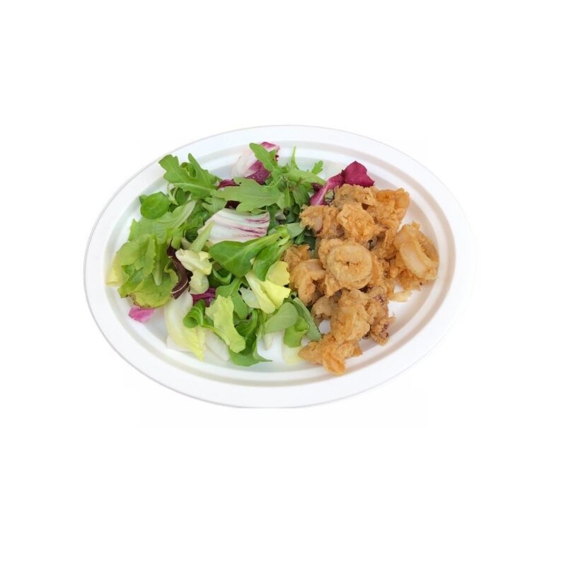 Ecobioshopping - Assiette plate Standard 26 cm en cellulose - 500 pièces - 11180