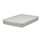 Dbmark - Boîtes à pâte à pizza 46x66x3mm - 66 x 46 x 7,6 cm - Blanc - DB18263CW148