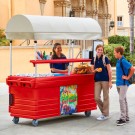 Dbmark - Chariot Camkiosk avec 6 cuves pour bacs GN et auvent - 216 x 85 x 239 cm - KVC856C158